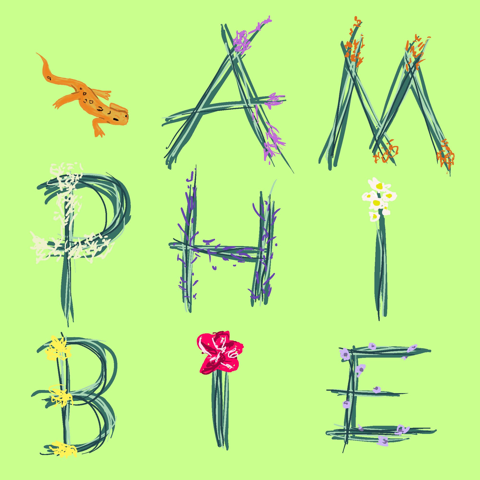 Amphibie : un balado sur l'écologie queer