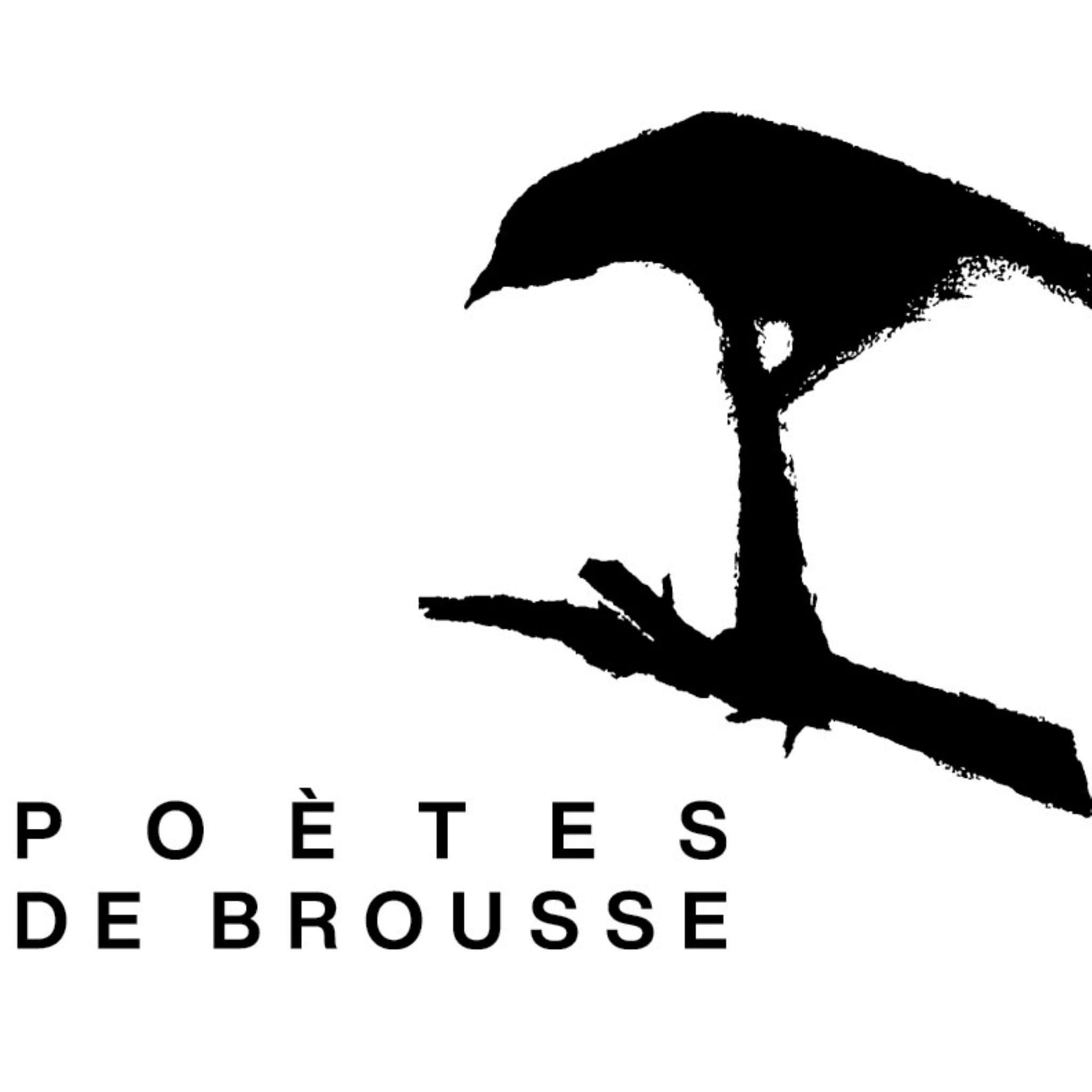 Les rencontres des Poètes de brousse